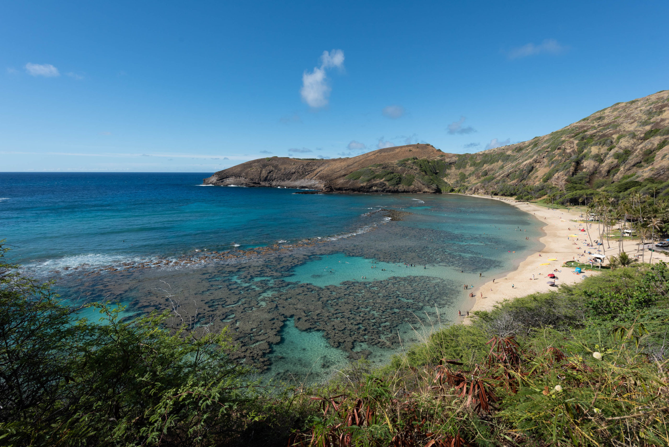 Hanauma Bay, 2021